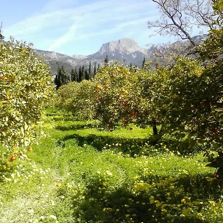 Finca Cas Sant-3